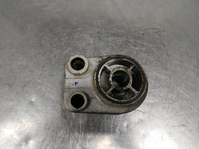 779744 Radiador de aceite debajo del filtro  disponible Utrera