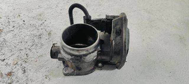 780437301 Cuerpo de mariposa completo  disponible Málaga