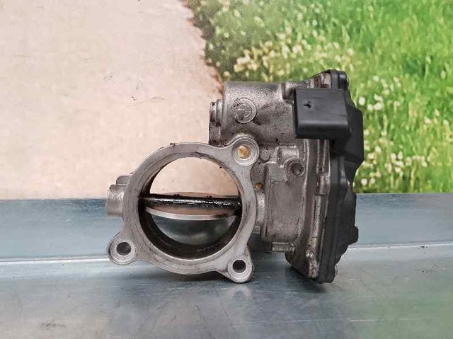 7810752 Cuerpo de mariposa  en stock Castellón