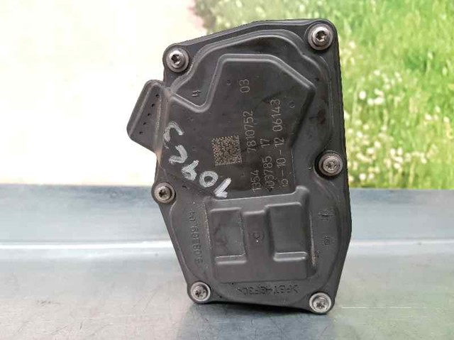 7810752 Cuerpo de mariposa comprar Sevilla