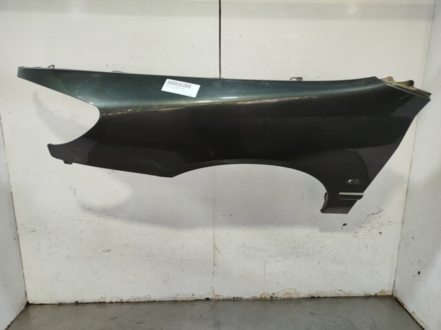 Aleta delantera izquierda Peugeot 607  (9D, 9U)