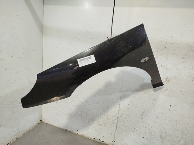 Comprar Aleta delantera izquierda 407 6D