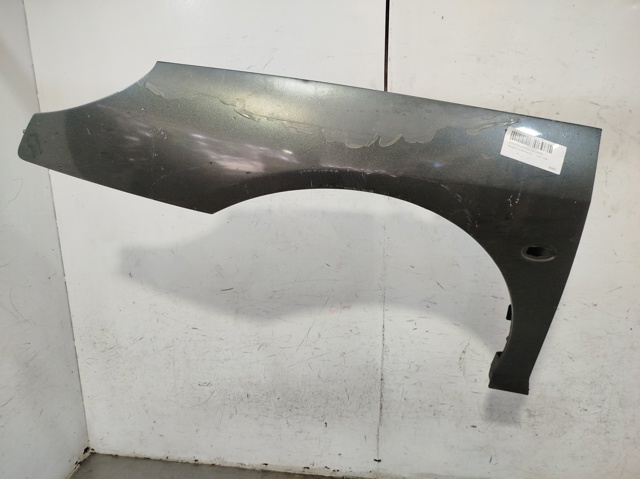 Aleta delantera izquierda para Peugeot 407 6D