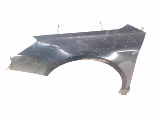 Aleta delantera izquierda para Citroen C5  (RW)