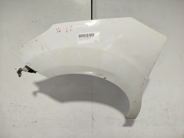 Aleta delantera izquierda para Citroen C3 II (A51)