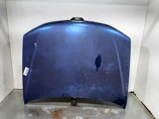 Capó delantero Peugeot 306  (1994-2001)