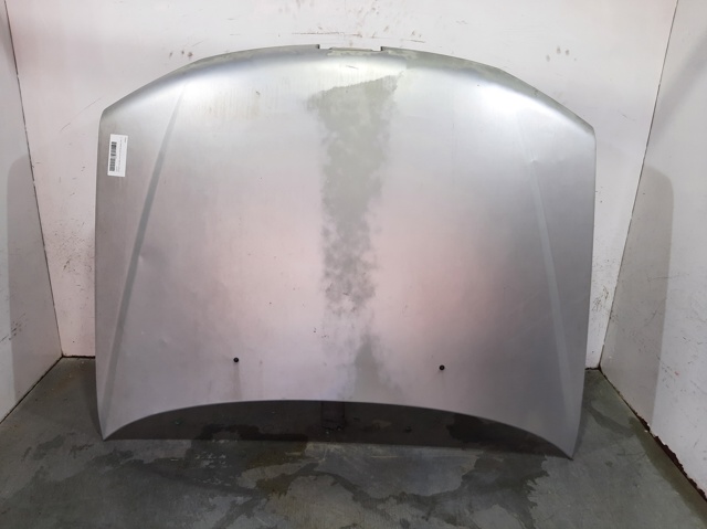 Capó para Peugeot 306 7B