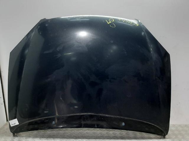 Precio del repuesto Capot C5  familiar