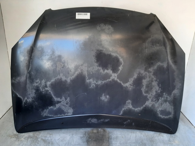 Capot para Citroen C5  (DE)