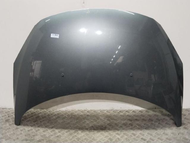 Capó delantero Peugeot 307 (2002-2009)