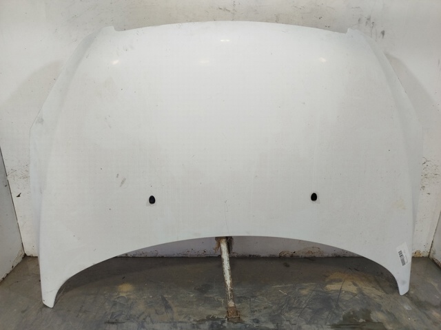 Capó del motor Peugeot 307  desde 174,24 €