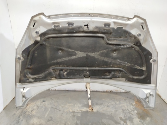 PEUGEOT 7901J0 Capó  en stock Valencia