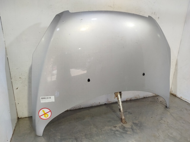 PEUGEOT 7901J0 Capó  comprar en Ponferrada