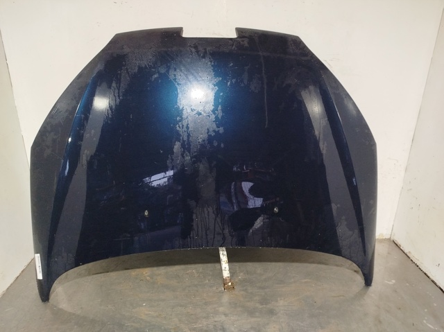 Capó del motor Peugeot 407  desde 241,03 €