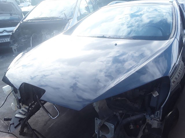 7901K7 PEUGEOT Capó  en stock Huelva