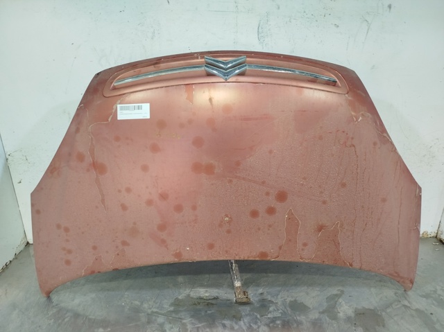 Capot Citroen Xsara  monovolumen comprar en España