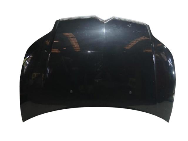 PEUGEOT 7901L1 Capó  en stock Salamanca