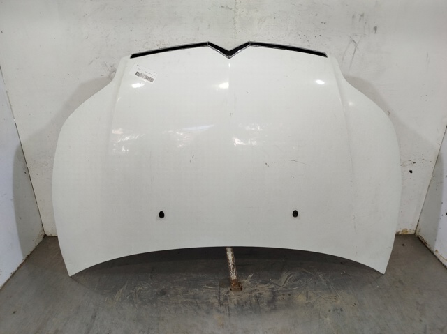 Capó para Citroen C4 LC