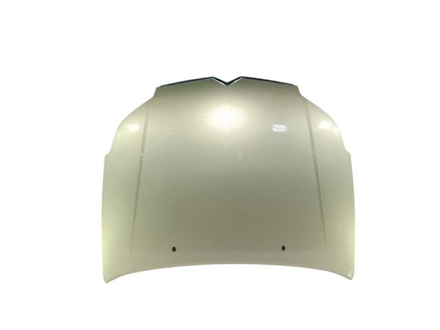 Capó del motor Citroen C5  desde 198,92 €