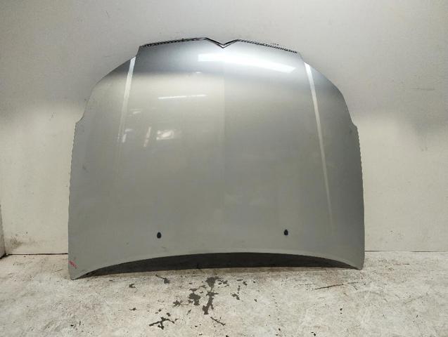 Capó del motor Citroen C5  desde 198,92 €