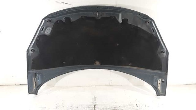 7901L9 PEUGEOT Capó comprar Bilbao