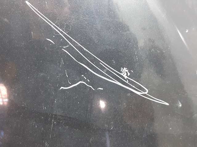 7901L9 PEUGEOT Capó  comprar en Jaén
