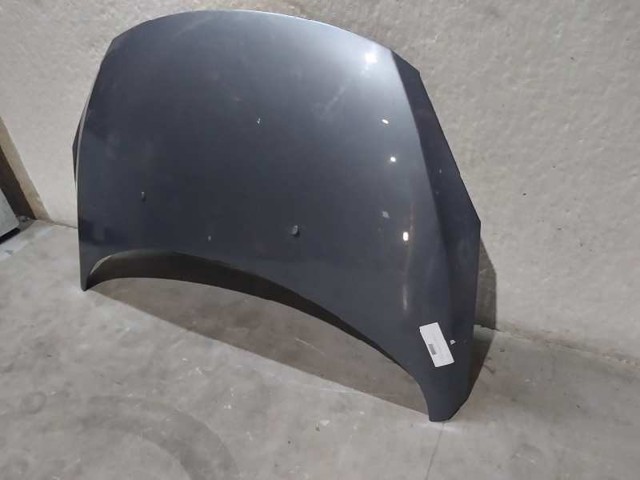 7901L9 PEUGEOT Capó  en stock Gandía