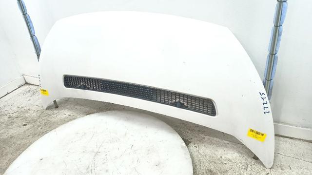 7901N1 PEUGEOT Capó  comprar en Oviedo