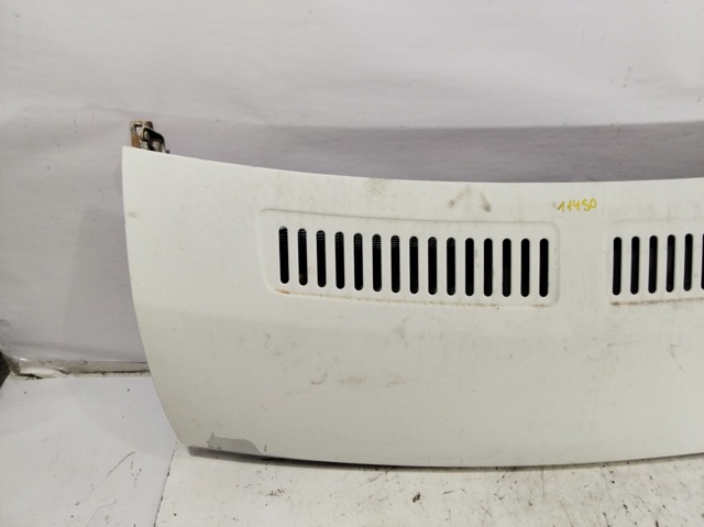 PEUGEOT 7901N8 Capó  en stock Valencia