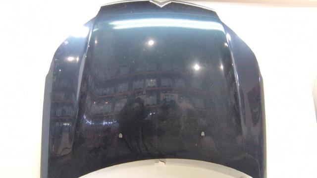 PEUGEOT 7901P3 Capó  comprar en Ponferrada