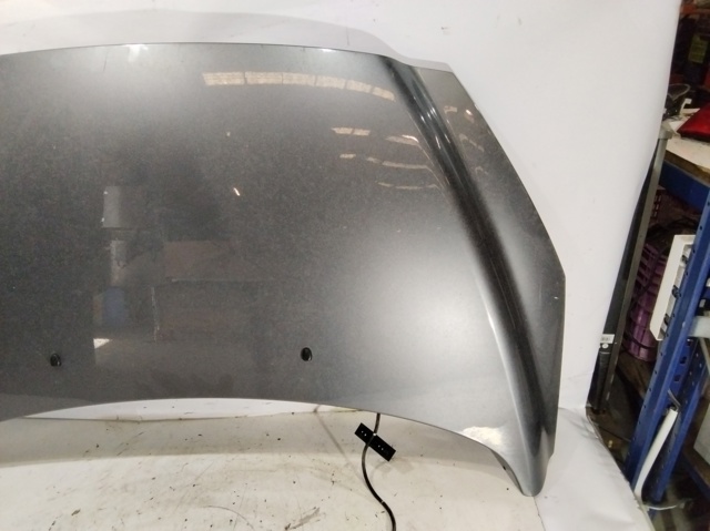 7901P6 PEUGEOT Capó  en stock Gandía