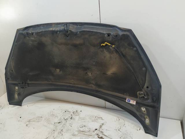 7901P6 PEUGEOT Capó comprar Bilbao