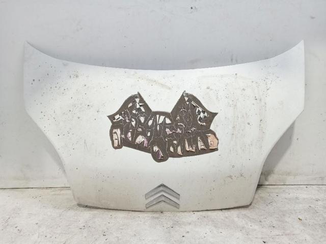 Capot Nemo  furgoneta (2009-2026) original desde 179,61 €
