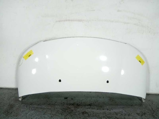 Capot para Citroen C3  (SH)