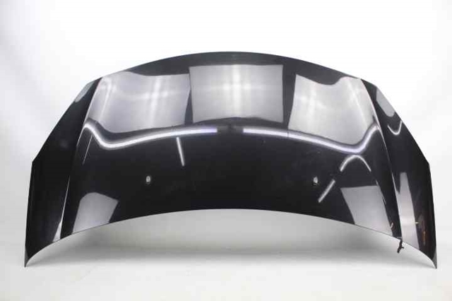 Capot para Citroen C3 II (A51)