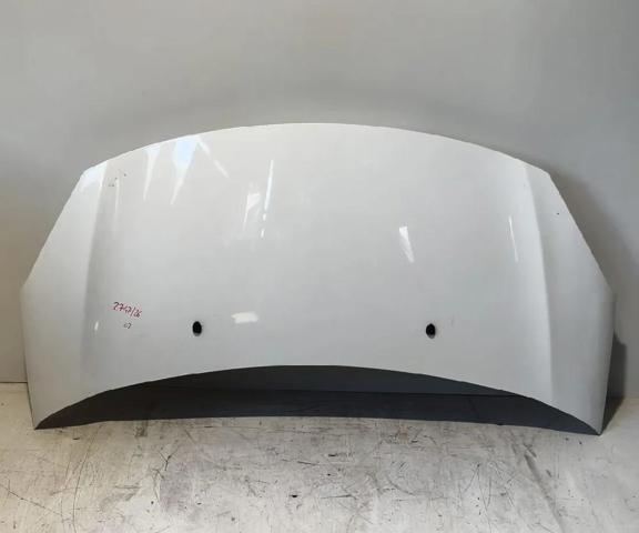 Capot C3 II hatchback (2009-2016) original desde 251,20 €