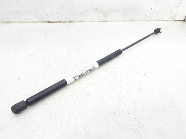 Comprar Amortiguador de capó Citroen Xsara  N1 a bajo precio