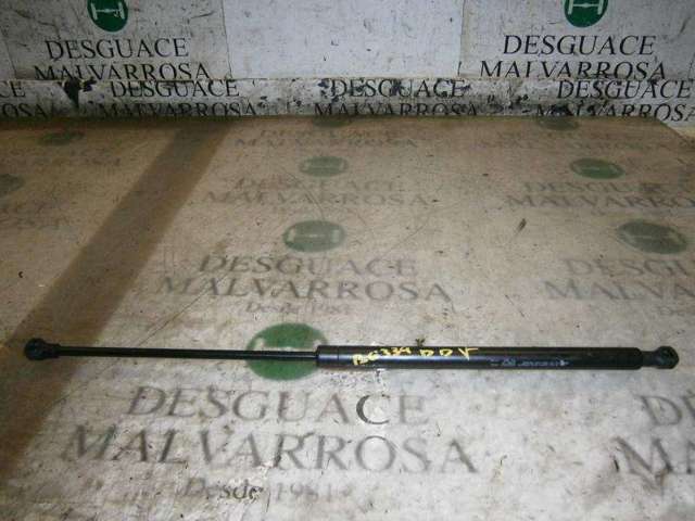792514 Amortiguador de capó  disponible Burgos