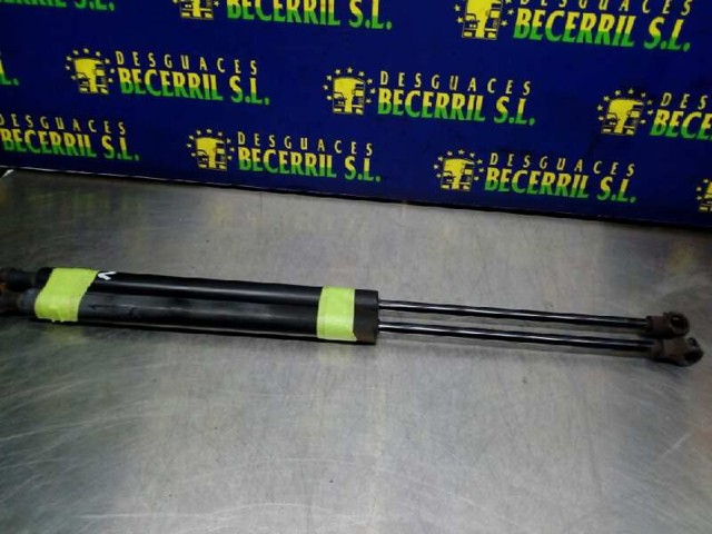 Amortiguador de maletero Peugeot 307 3A, 3C
