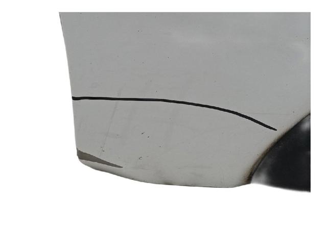 801010179R RENAULT Puerta delantera izquierda  comprar en Lleida