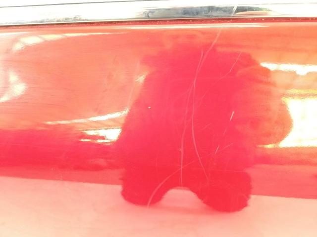 RENAULT 801017896R Puerta delantera izquierda  disponible Valladolid