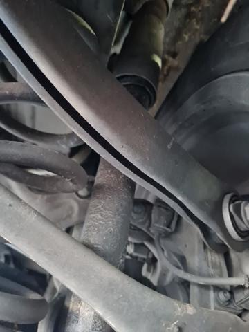Amortiguadores traseros 80A513035L VAG
