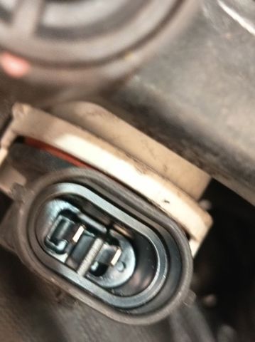 8122002110 Luz antiniebla izquierdo comprar Sevilla