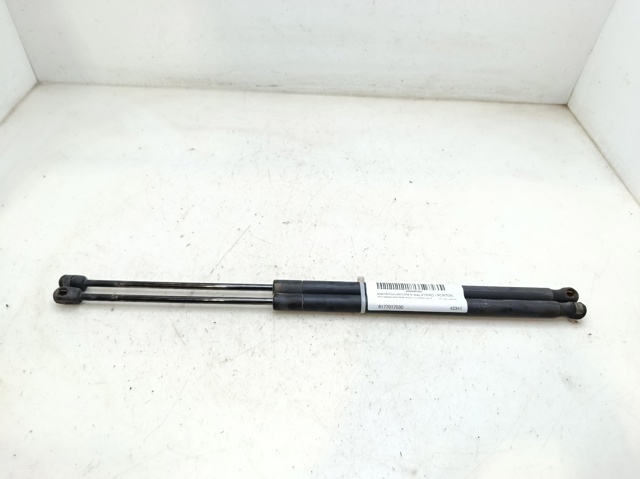Amortiguador maletero para Hyundai Matrix FC