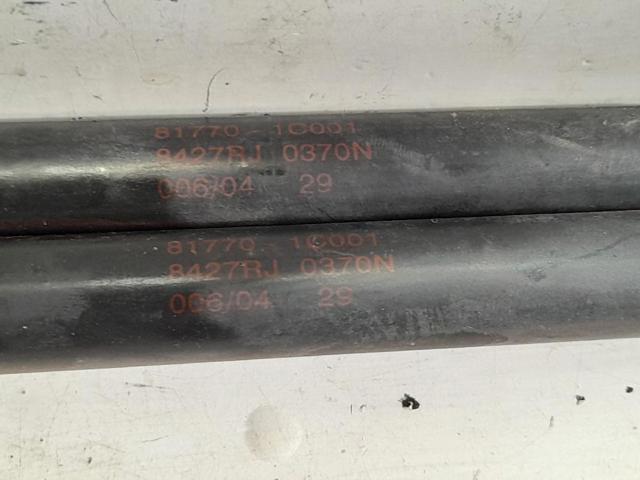 817701C001 HYUNDAI Amortiguador de la tapa del maletero  comprar en Jaén