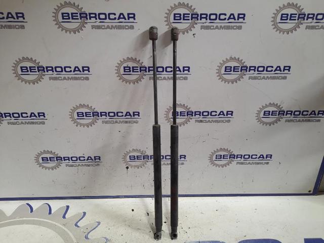 817701C001 Amortiguador maletero comprar Almería