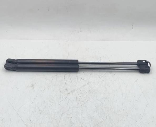 Comprar Amortiguador de puerta trasera Picanto II TA