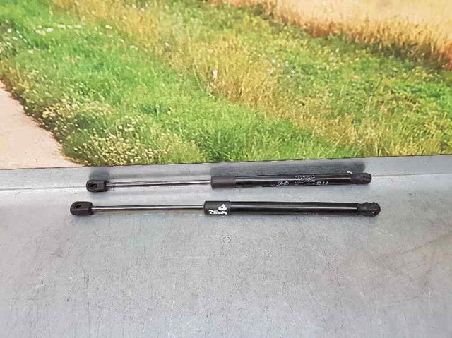 817704P000 Hyundai/Kia