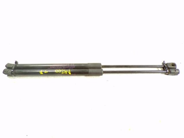 Amortiguador De Maletero MAGNETI MARELLI 430719146300