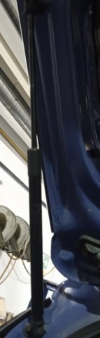 81770C8010 Amortiguador de la tapa del maletero  comprar en Reus